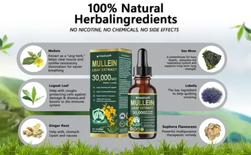 ๐๐ฒ๐ฎ๐น๐ฟ๐ถ๐๐ฒยฎ ๐ข๐ฟ๐ด๐ฎ๐ป๐ถ๐ฐ ๐๐๐ป๐ด ๐๐น๐ฒ๐ฎ๐ป๐๐ถ๐ป๐ด ๐ ๐๐น๐น๐ฒ๐ถ๐ป ๐๐ฒ๐ฎ๐ณ ๐๐
๐๐ฟ๐ฎ๐ฐ๐ ๐๐ฟ๐ผ๐ฝ๐