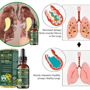 ๐๐ฒ๐ฎ๐น๐ฟ๐ถ๐๐ฒยฎ ๐ข๐ฟ๐ด๐ฎ๐ป๐ถ๐ฐ ๐๐๐ป๐ด ๐๐น๐ฒ๐ฎ๐ป๐๐ถ๐ป๐ด ๐ ๐๐น๐น๐ฒ๐ถ๐ป ๐๐ฒ๐ฎ๐ณ ๐๐
๐๐ฟ๐ฎ๐ฐ๐ ๐๐ฟ๐ผ๐ฝ๐