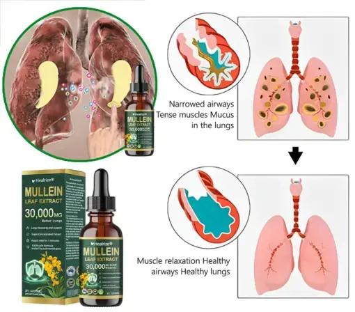 ๐๐ฒ๐ฎ๐น๐ฟ๐ถ๐๐ฒยฎ ๐ข๐ฟ๐ด๐ฎ๐ป๐ถ๐ฐ ๐๐๐ป๐ด ๐๐น๐ฒ๐ฎ๐ป๐๐ถ๐ป๐ด ๐ ๐๐น๐น๐ฒ๐ถ๐ป ๐๐ฒ๐ฎ๐ณ ๐๐
๐๐ฟ๐ฎ๐ฐ๐ ๐๐ฟ๐ผ๐ฝ๐