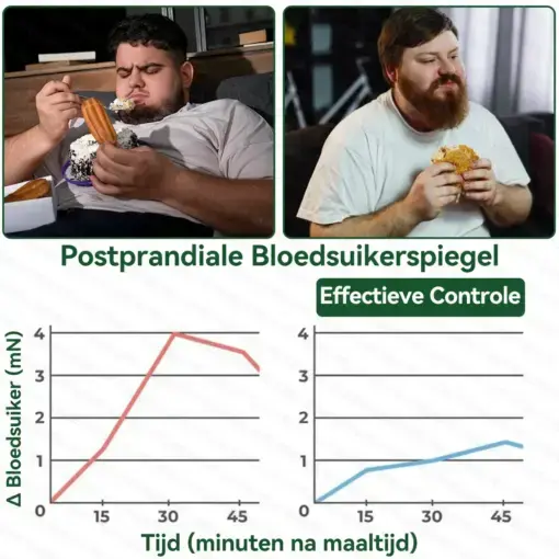 ๐๐๐๐ฅ๐ซ๐ข๐ณ๐ยฎ Moringa ยท Berberine + NAD+ โ 12-in-1 Geavanceerde Nano Micronaald Patch