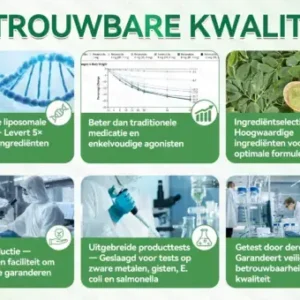 ๐๐๐๐ฅ๐ซ๐ข๐ณ๐ยฎ Moringa ยท Berberine + NAD+ โ 12-in-1 Geavanceerde Nano Micronaald Patch