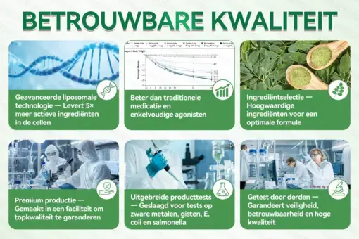 ๐๐๐๐ฅ๐ซ๐ข๐ณ๐ยฎ Moringa ยท Berberine + NAD+ โ 12-in-1 Geavanceerde Nano Micronaald Patch