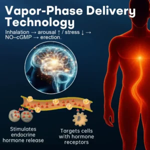 Healrize® VitalFlow HardX Men‘s Vitality Inhaler