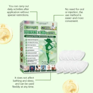 Healrize Moringa 10-in-1 Advanced Nano Microdarts Patch