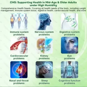 Healrize®7-Day Herbal Nanoneedle Shaping Patch™ Addressing Obesity, Diabetes, High blood pressure, and Sleep apnea Issues