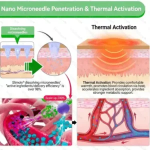 Healrize®7-Day Herbal Nanoneedle Shaping Patch™ Addressing Obesity, Diabetes, High blood pressure, and Sleep apnea Issues