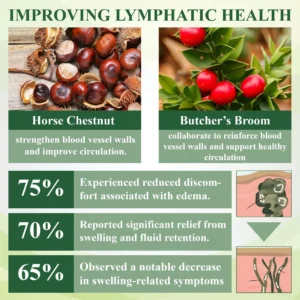 🇺🇸 Official USA Store • Trusted Nationwide
        
        
        
            Healrize® Advanced Leg Circulation Cream
        

        
            Fast relief for heavy, swollen & tired legs — no compression needed