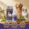 Best Seller🔥 Healrize® Herbal Pet Ear Drops🎉Special limited-time discount