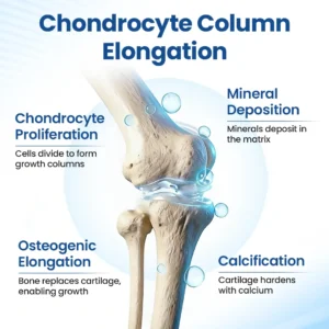 Healrize® GH-Support Height Spray