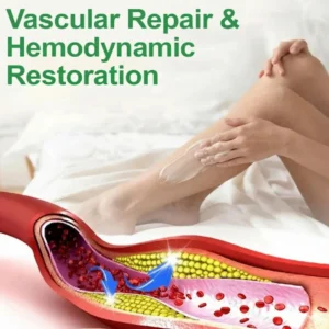 Healrize®🍃 Professional Natural Leg Circulation Cream——Targeted Relief for Swelling, Puffiness & Heavy Legs