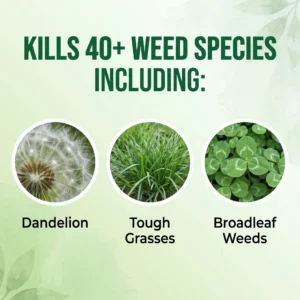 🏆𝙁𝙖𝙨𝙩 𝙧𝙚𝙨𝙪𝙡𝙩𝙨 𝙞𝙣 6 𝙝𝙤𝙪𝙧𝙨 | Healrize® 2-in-1 Max Strength Herbicide: Fast Acting Results on Glyphosate-Resistant Weed