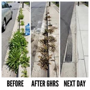 🏆𝙁𝙖𝙨𝙩 𝙧𝙚𝙨𝙪𝙡𝙩𝙨 𝙞𝙣 6 𝙝𝙤𝙪𝙧𝙨 | Healrize® 2-in-1 Max Strength Herbicide: Fast Acting Results on Glyphosate-Resistant Weed