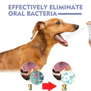 Healrize®🍃No-Brushing Oral Care Spray for Dogs & Cats