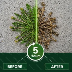 🔥Healrize® 5-Hour Max Power Dual-Action Herbicide