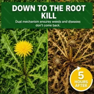 Healrize® Dual-Action Crop Herbicide