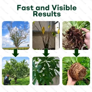 OFFICIAL
                      
                      
                        BRAND
                      
                    
                    👨‍🌾𝐎𝐟𝐟𝐢𝐜𝐢𝐚𝐥 𝐔𝐒 𝐒𝐭𝐨𝐫𝐞🌱Healrize® Plant Fertilizer Liquid Plant Food Concentrate✨Time-Limited Discount🎉