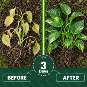 OFFICIAL
                      
                      
                        BRAND
                      
                    
                    👨‍🌾𝐎𝐟𝐟𝐢𝐜𝐢𝐚𝐥 𝐔𝐒 𝐒𝐭𝐨𝐫𝐞🌱Healrize® Plant Fertilizer Liquid Plant Food Concentrate✨Time-Limited Discount🎉