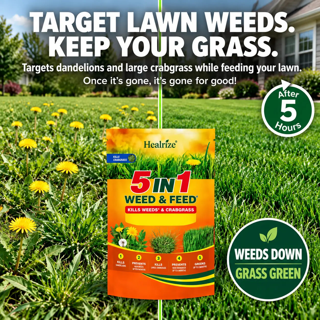🔥 Healrize® 5-in-1 Weed & Feed | Fast-Acting Dual-Action Granules for Stubborn Lawn Weeds & a Greener-Looking Lawn