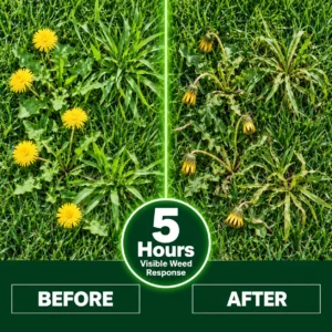 🔥100K+ Sold NEW & IMPROVED Healrize® 5-in-1 Weed & Feed